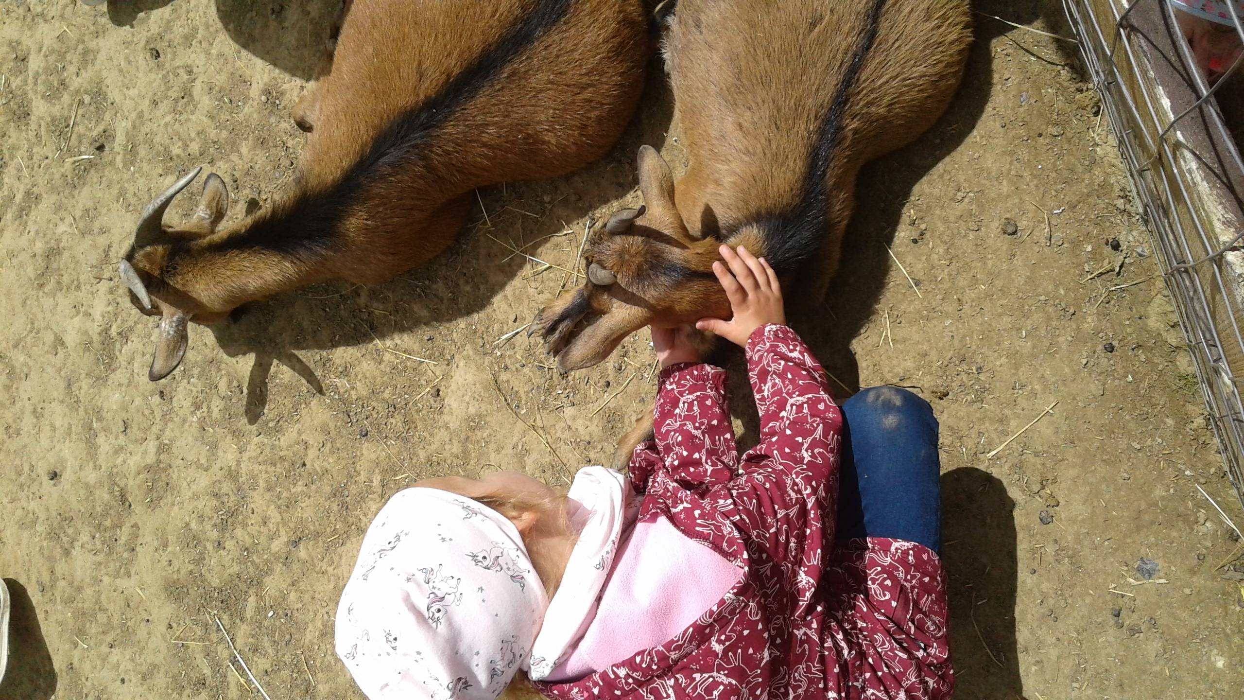 fenntarható-b.-2..jpg fenntarható-b.-2..jpg