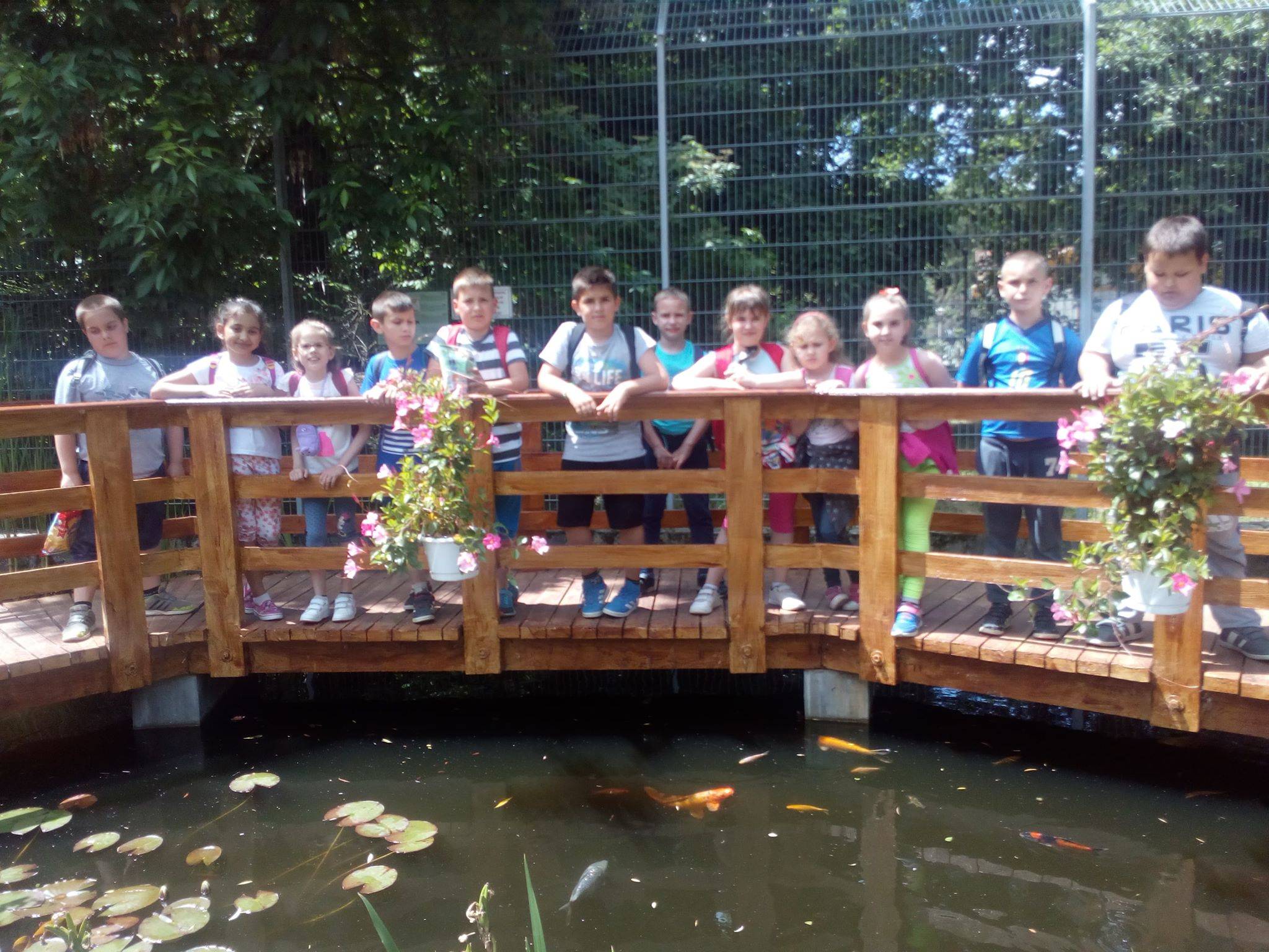 llatkert.jpg llatkert.jpg