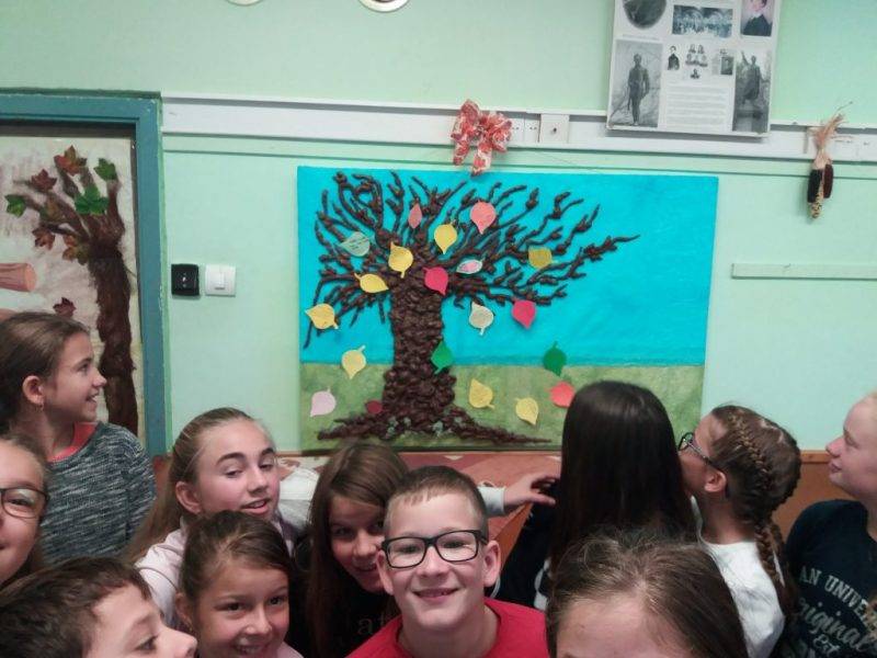 20190926_094725.jpg 20190926_094725.jpg