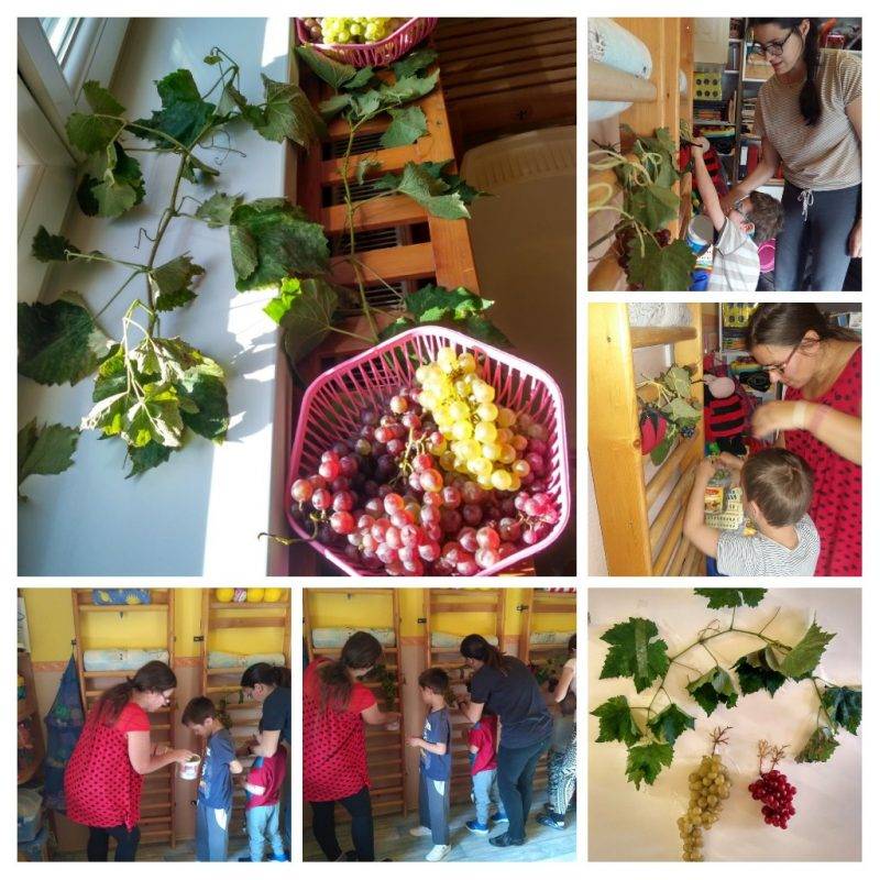 20190927_174749-COLLAGE.jpg 20190927_174749-COLLAGE.jpg