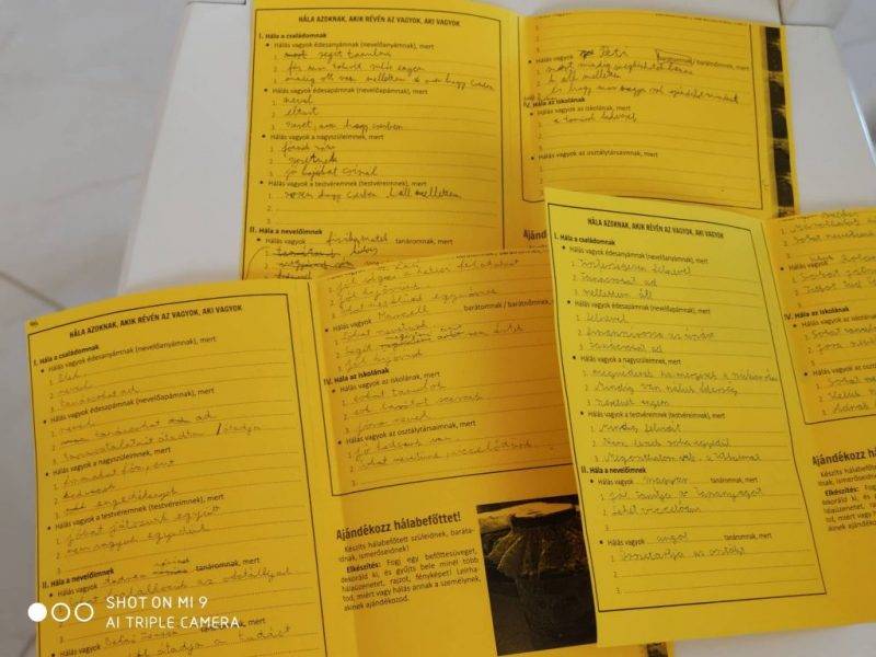 71286693_496717184226549_531019676189196288_n-1.jpg 71286693_496717184226549_531019676189196288_n-1.jpg