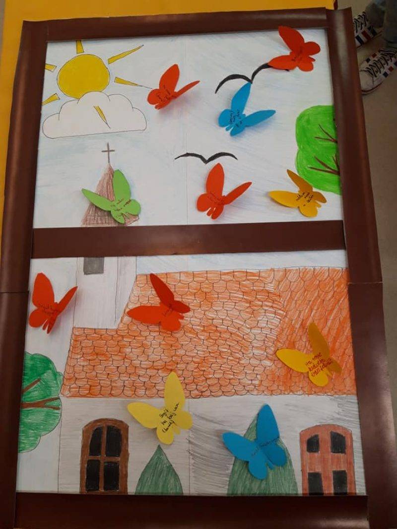 Hálapillangók.jpg Hálapillangók.jpg