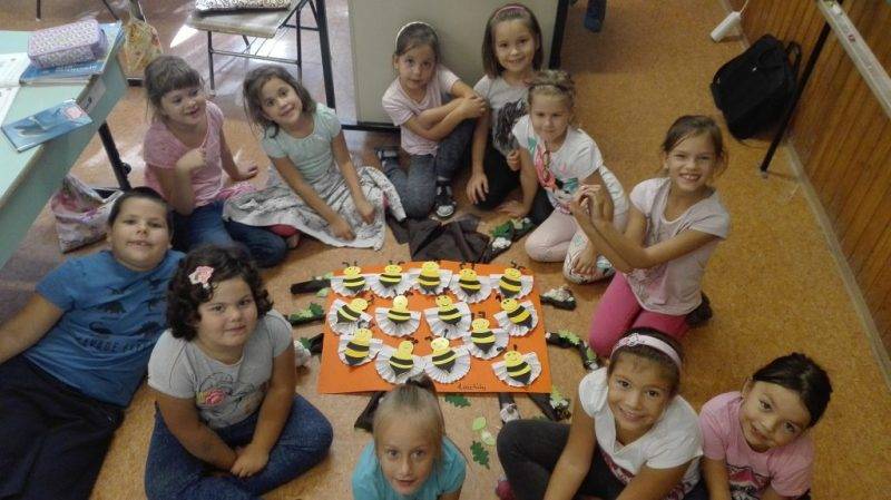 IMG_20190913_112111.jpg IMG_20190913_112111.jpg