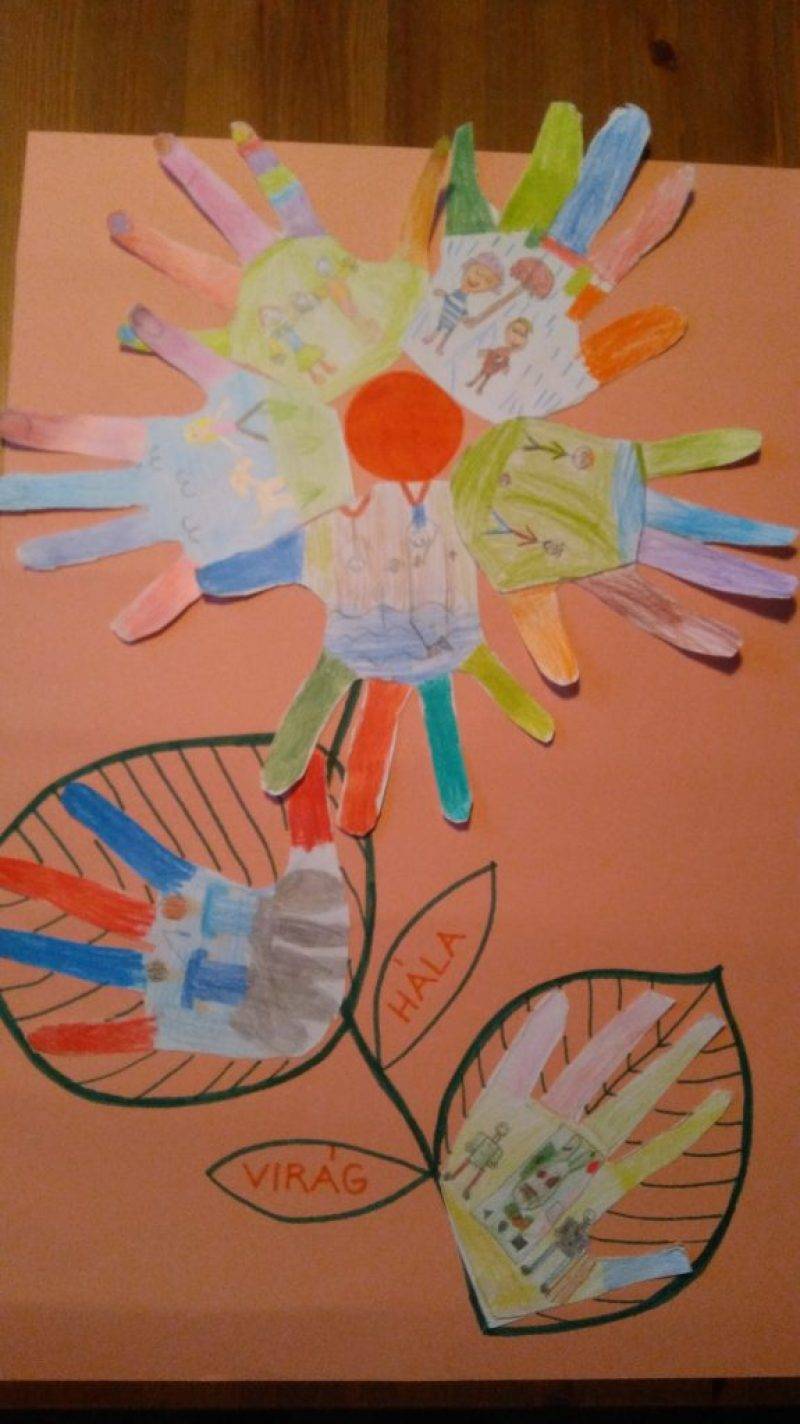 hálakép.jpg hálakép.jpg