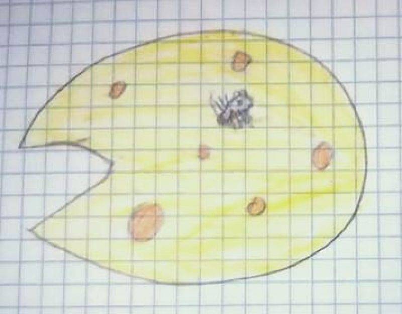 76683396_470252410272683_1620035129743245312_n.jpg 76683396_470252410272683_1620035129743245312_n.jpg