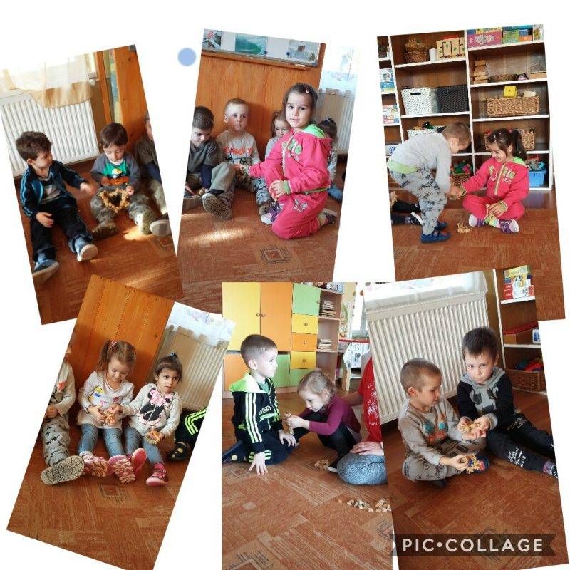 Collage-2019-11-26-16_03_48.jpg Collage-2019-11-26-16_03_48.jpg