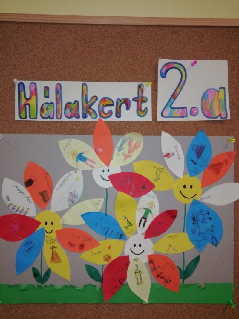 Hálakert-2.a.jpg
