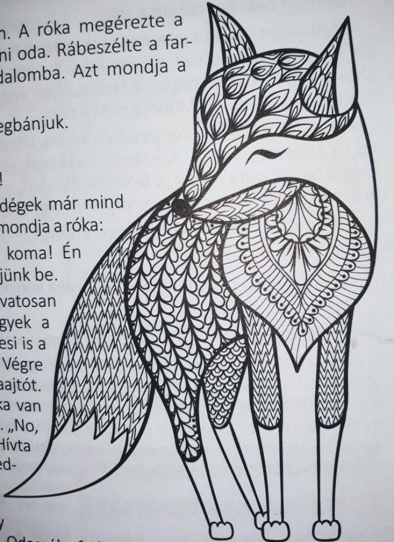 róka.jpg róka.jpg