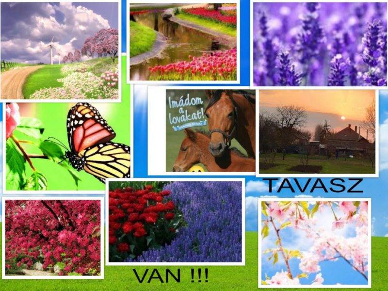 Tavasz-van-page-001.jpg Tavasz-van-page-001.jpg