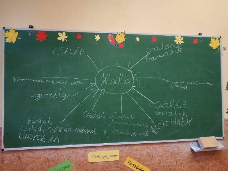 IMG_20191106_132927.jpg IMG_20191106_132927.jpg