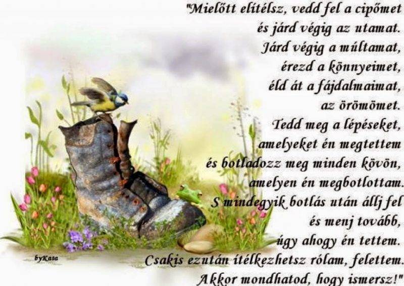 megbocsátás-idézet.jpg