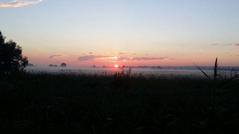20160730_053434.jpg 20160730_053434.jpg
