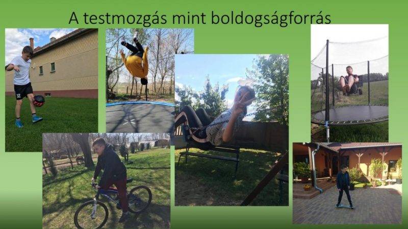 testmozgás.jpg testmozgás.jpg