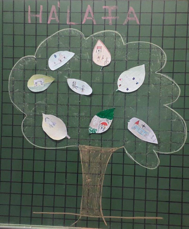 120538003_2599975700266470_2766380441963803078_n.jpg 120538003_2599975700266470_2766380441963803078_n.jpg