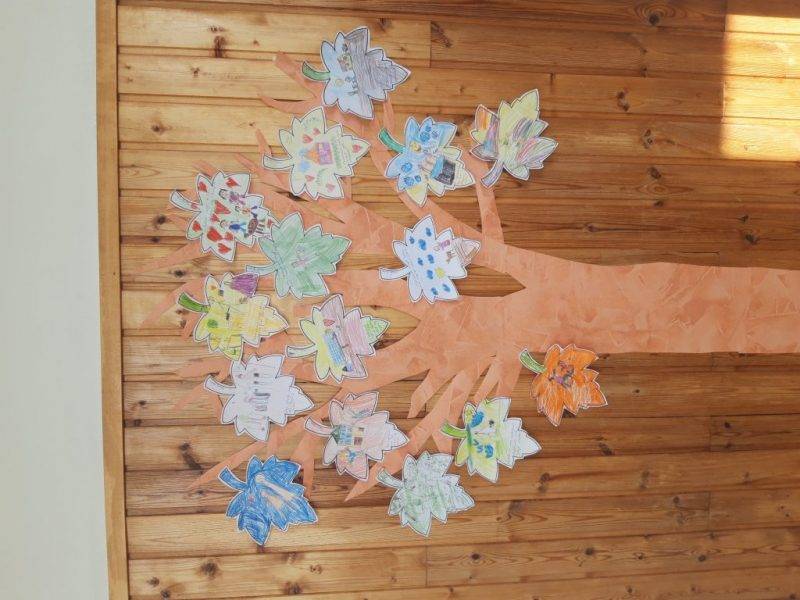 20200924_150013.jpg 20200924_150013.jpg