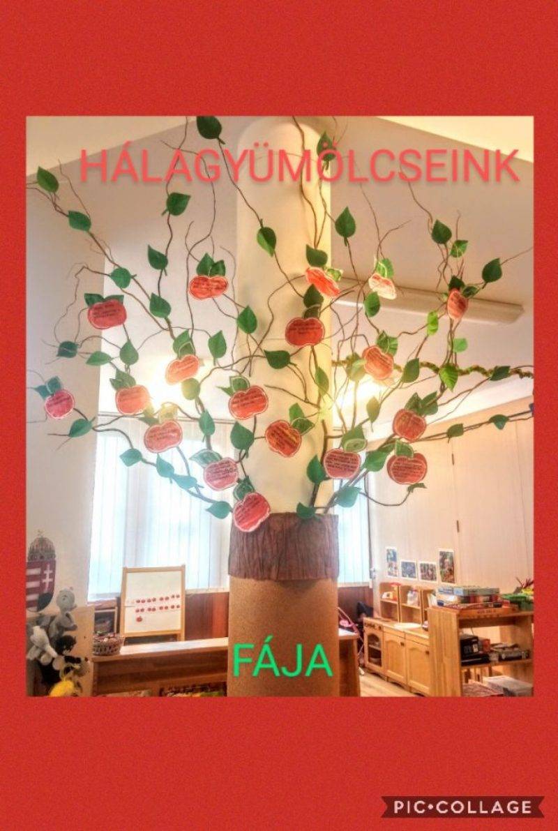 Collage-2020-09-30-14_07_18.jpg Collage-2020-09-30-14_07_18.jpg