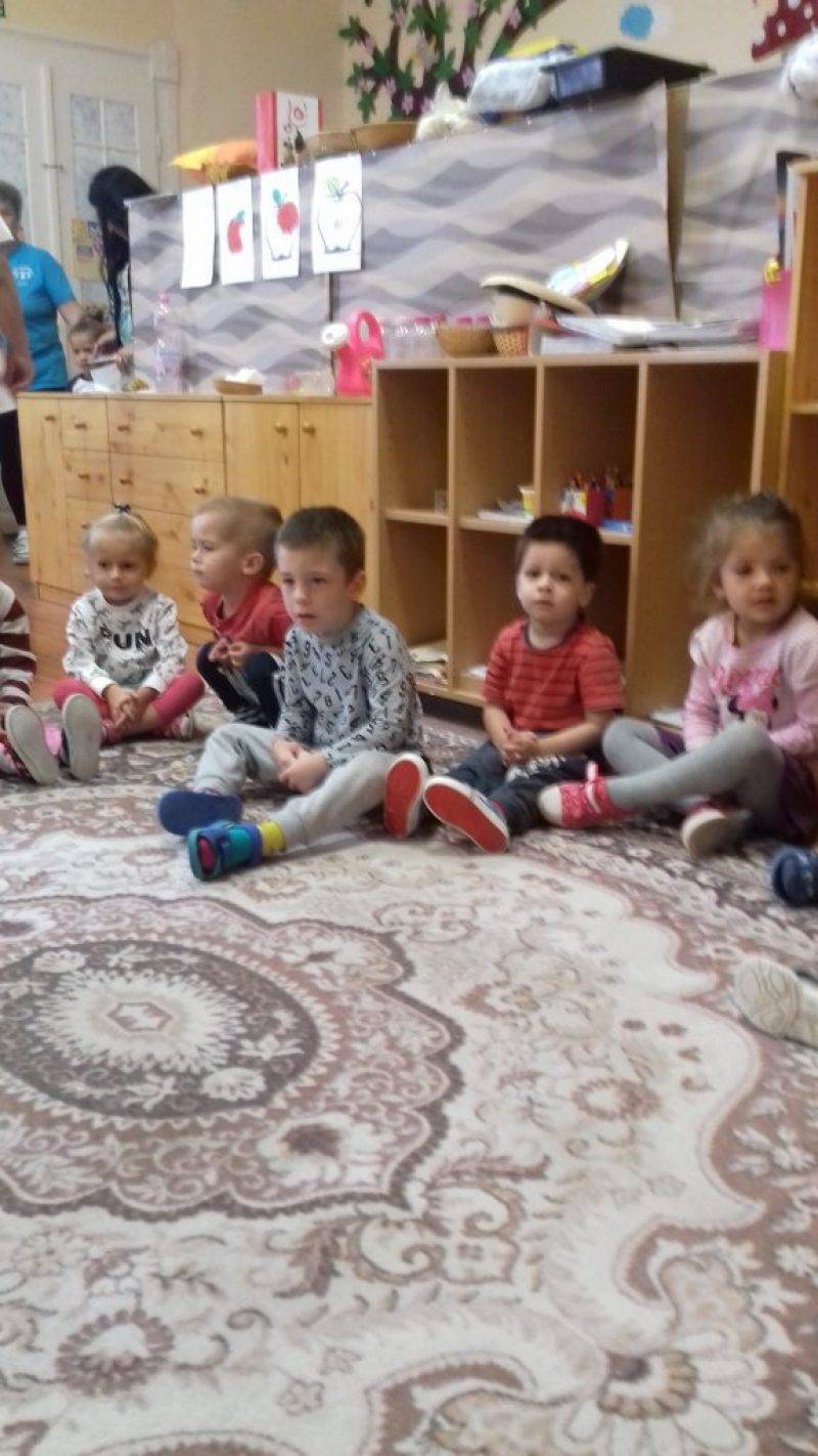 ovi-006.jpg ovi-006.jpg