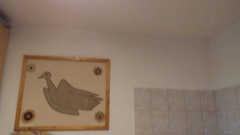 20201013_124322.jpg