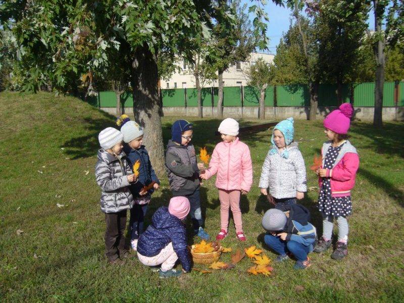Nevető-falevelek-2.jpg