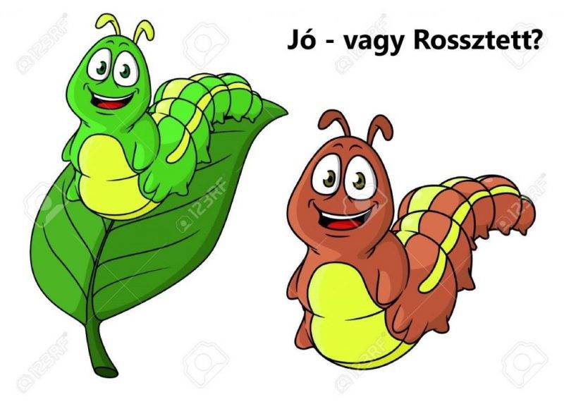 két-hernyó.jpg két-hernyó.jpg