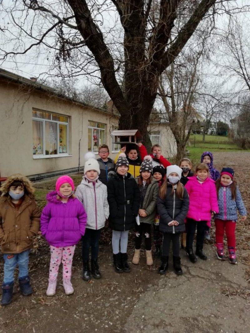 madáretető-2021.jpg
