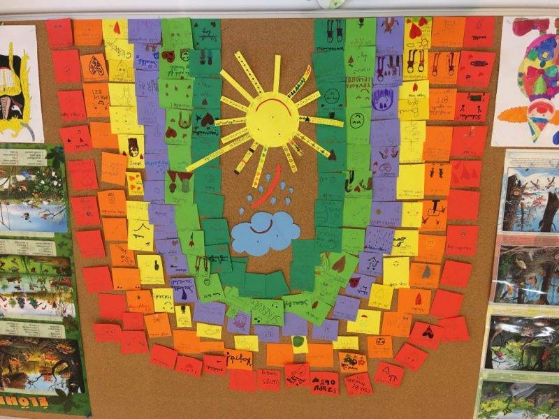 IMG-1204.jpg IMG-1204.jpg