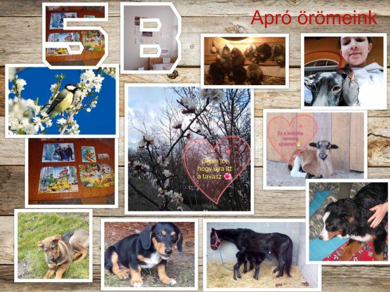 Apró-örömeink.jpg Apró-örömeink.jpg