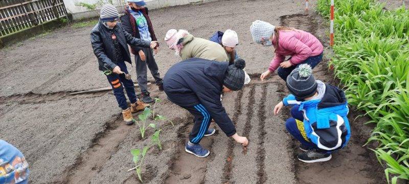 20210419_1022541-1.jpg 20210419_1022541-1.jpg