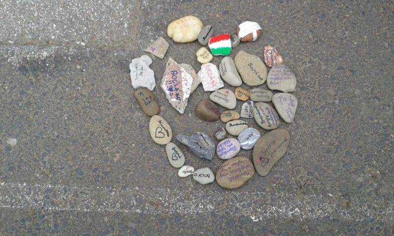 20210429_104120.jpg 20210429_104120.jpg