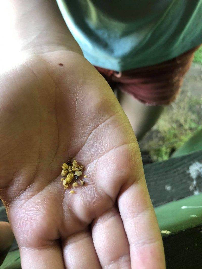 195645433_2887843504797306_3727813113827692237_n.jpg 195645433_2887843504797306_3727813113827692237_n.jpg