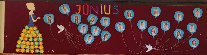 20210622_095405_2-1.jpg 20210622_095405_2-1.jpg