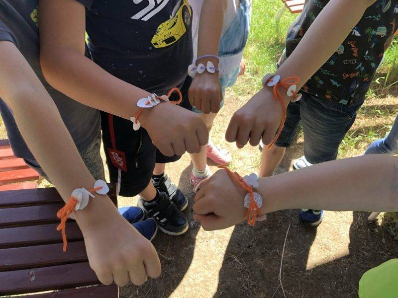 IMG_3596.jpeg IMG_3596.jpeg