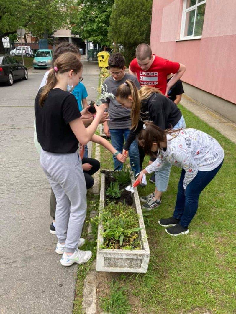 virág2-2.jpg virág2-2.jpg