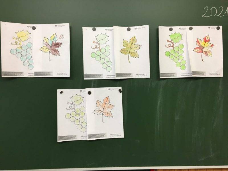 Hálaszüret-7.jpg Hálaszüret-7.jpg