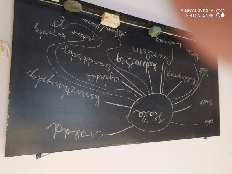 IMG_20210929_081638.jpg IMG_20210929_081638.jpg