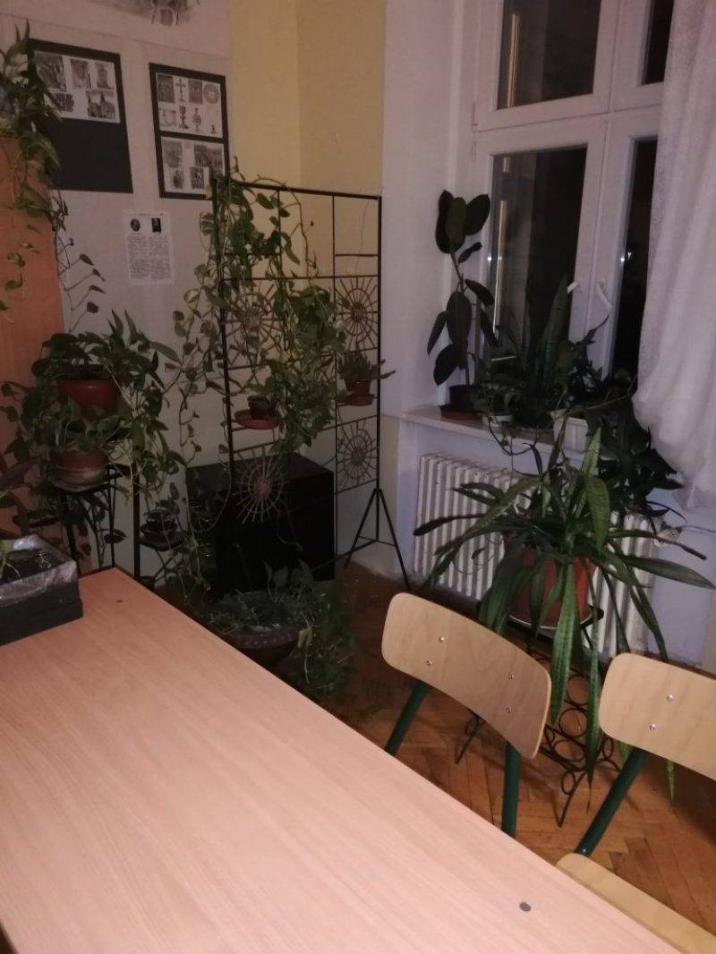 allin-927.jpg allin-927.jpg