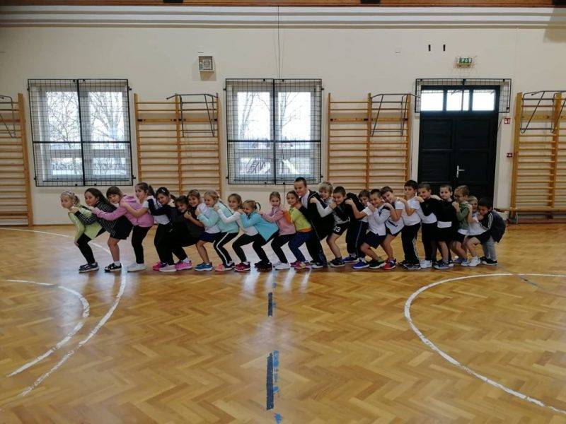 A-százlábú-1.jpg