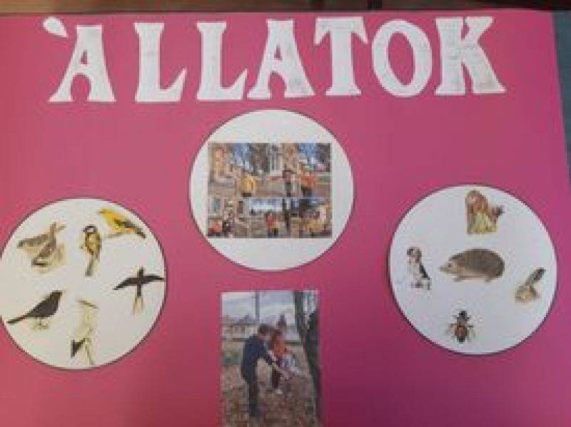 Az-állatok-3.jpg
