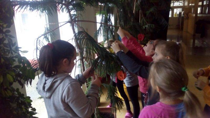 P_20211215_111349.jpg P_20211215_111349.jpg