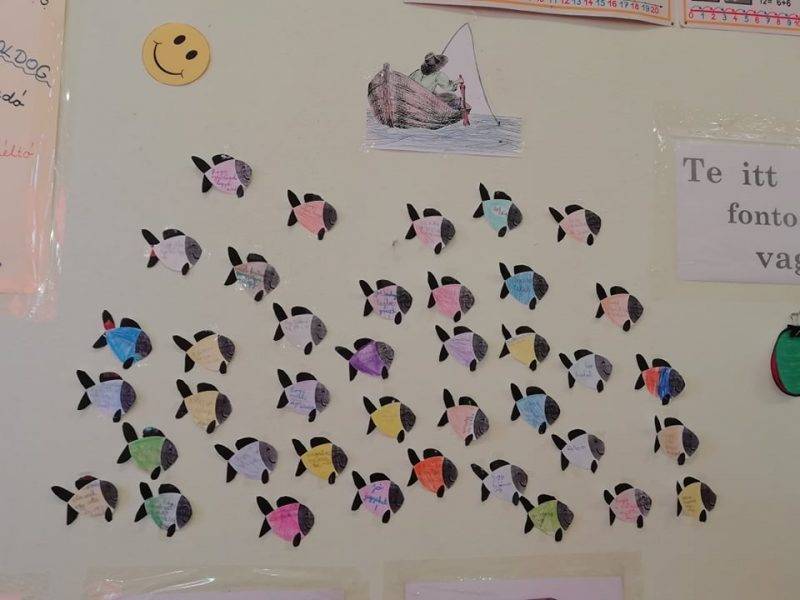 272355306_325806909556978_5383443291123396753_n-11.jpg 272355306_325806909556978_5383443291123396753_n-11.jpg
