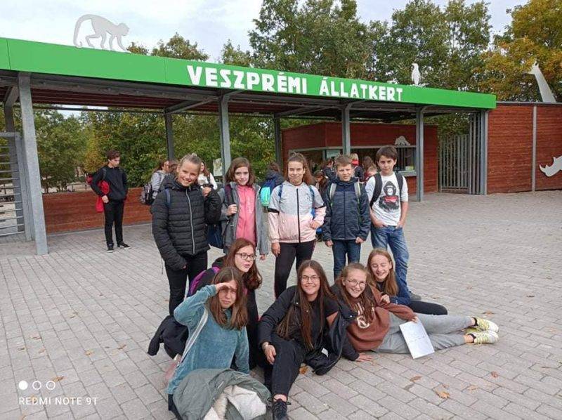 llatkerti1.jpg llatkerti1.jpg