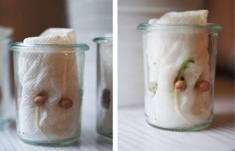 6b2cec7e34945db5198f550ba8b4fa7e.jpg 6b2cec7e34945db5198f550ba8b4fa7e.jpg