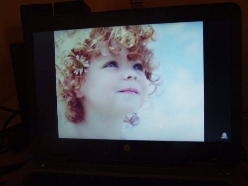 DSCF6381.jpg DSCF6381.jpg