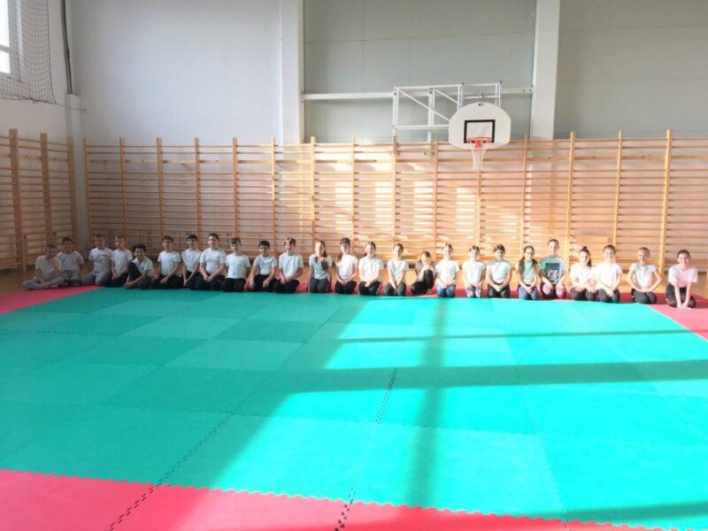 Judo mint megküzdési stratégia Judo mint megküzdési stratégia