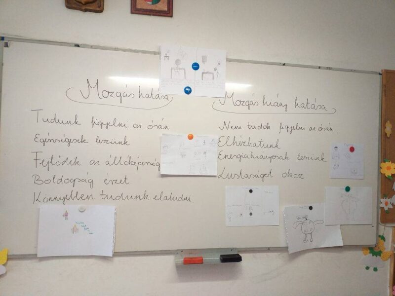 A mozgás fontossága A mozgás fontossága