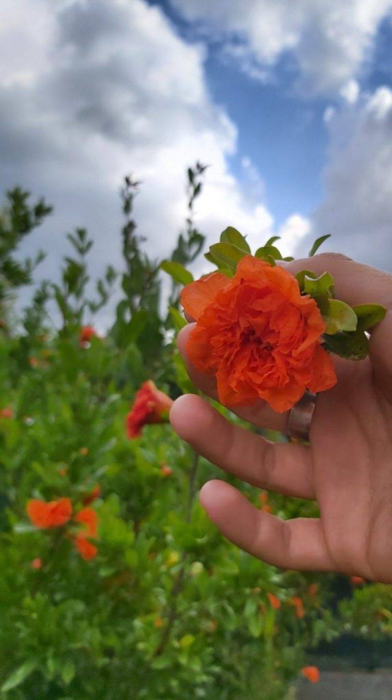 Fenntarthato-boldogsag-14.jpg Fenntarthato-boldogsag-14.jpg