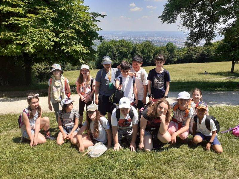 Normafa-csopikep.jpg Normafa-csopikep.jpg