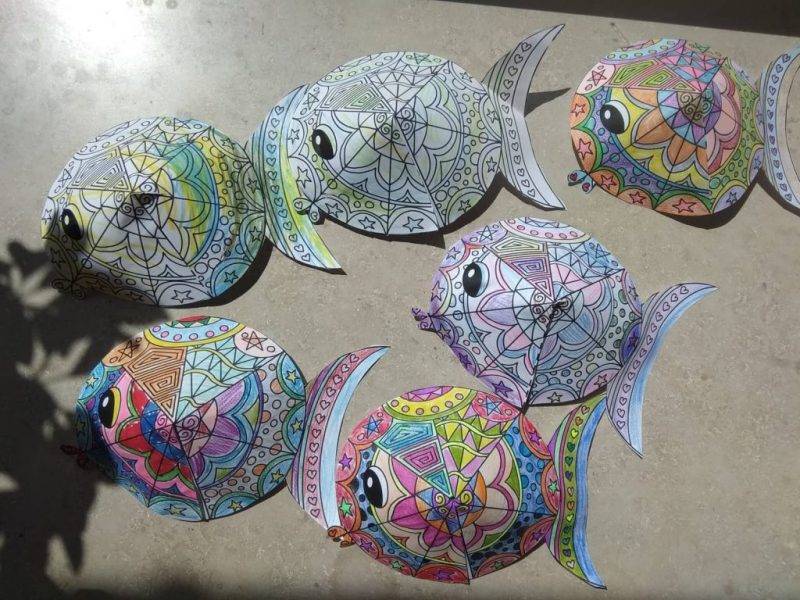 292684160_745404596682249_3026327136217616247_n.jpg 292684160_745404596682249_3026327136217616247_n.jpg