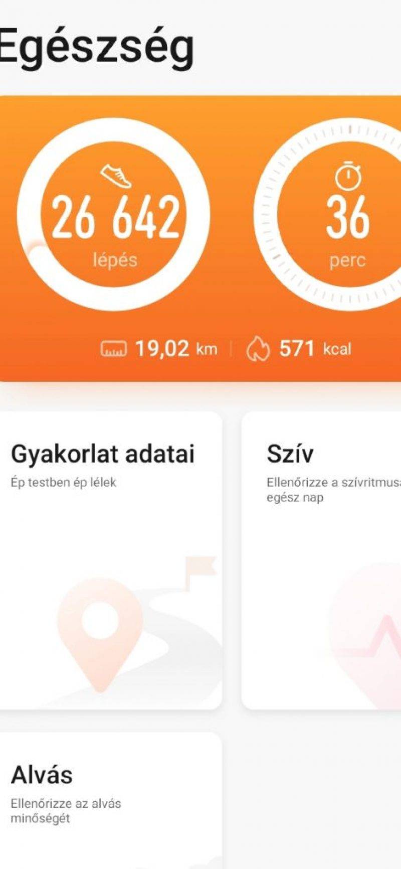 9.-testmozgas.jpg