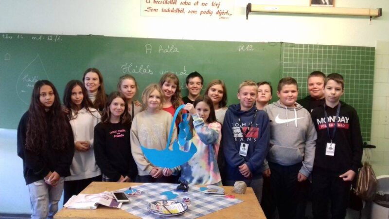 Hálaernyő Hálaernyő